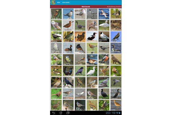 UK Bird Sounds app - BirdGuides