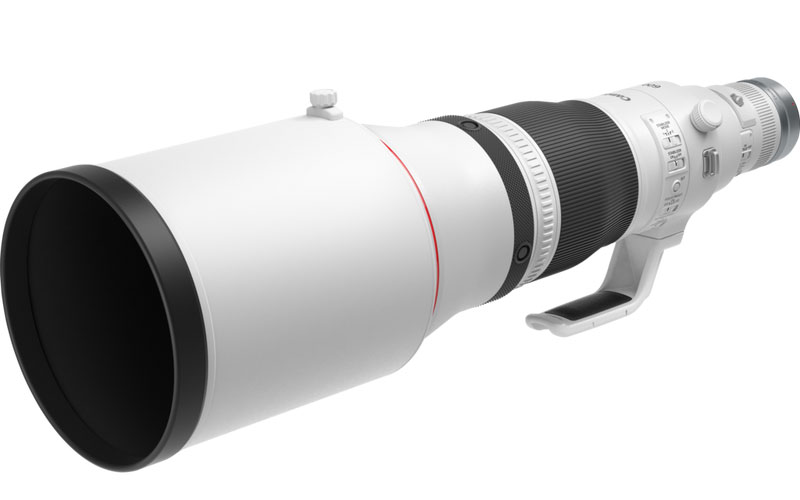 Canon RF 600 mm F4 L IS USM lens - BirdGuides