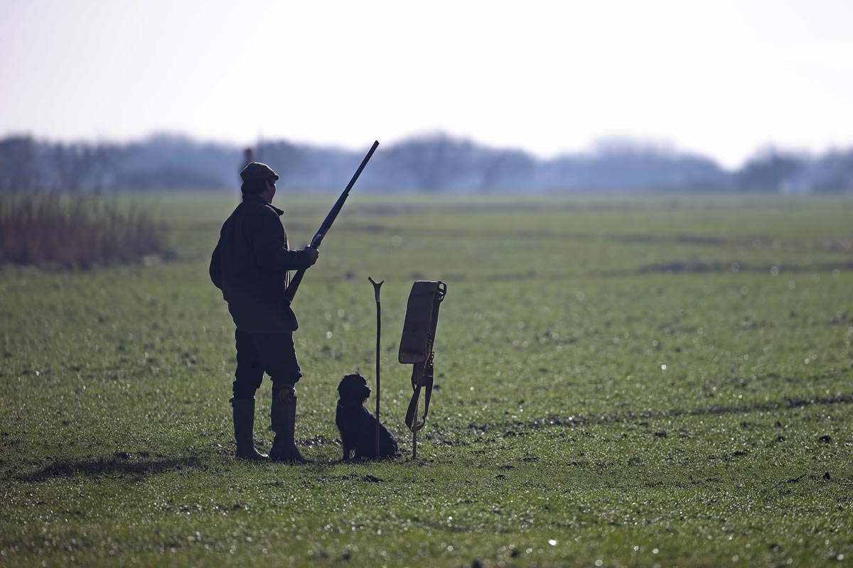 Unfair game: the birds that can still be shot in the UK - BirdGuides