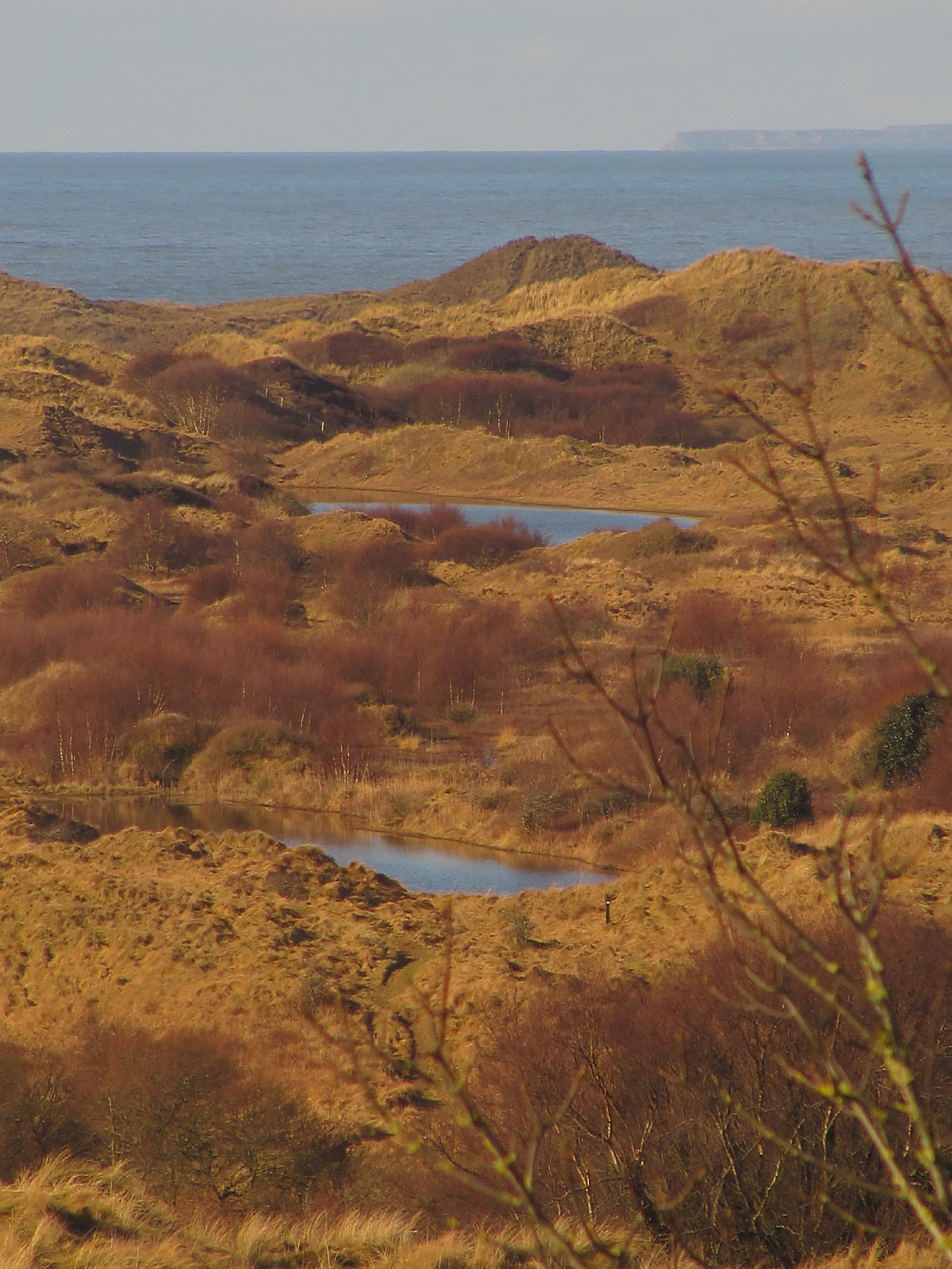 konkurrerende Udflugt effekt Exploring sites: Kenfig NNR - BirdGuides