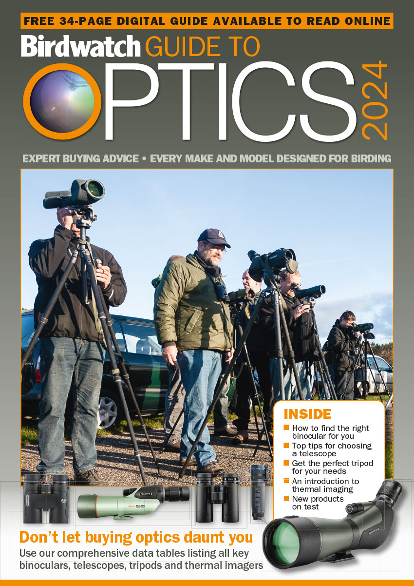 Optics Guide 2024 BirdGuides