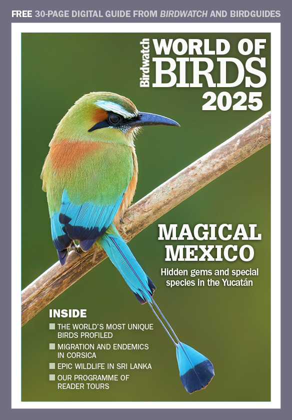 World of Birds 2025 BirdGuides