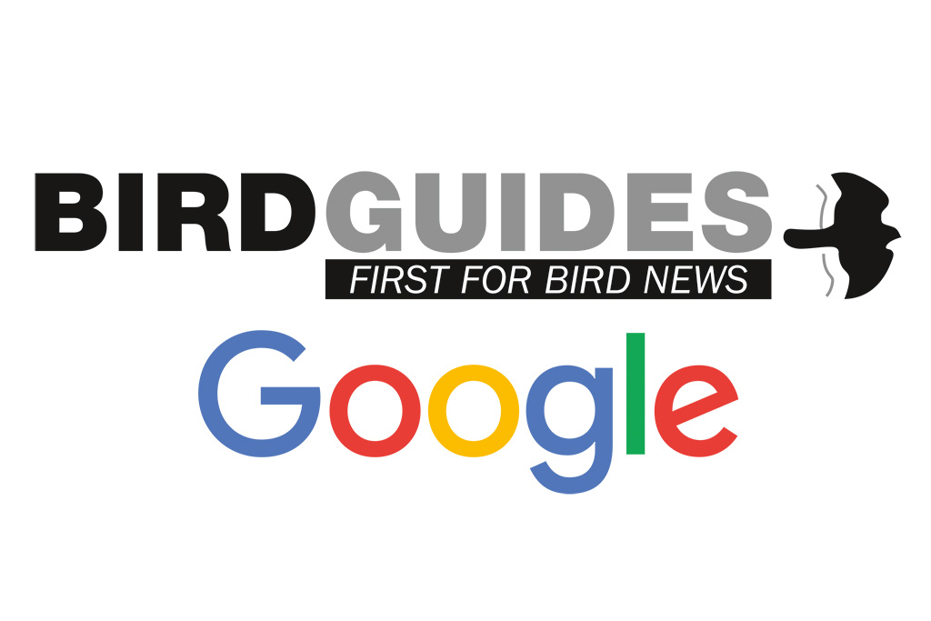 Google now lets you prioritise trusted news sources – including ...