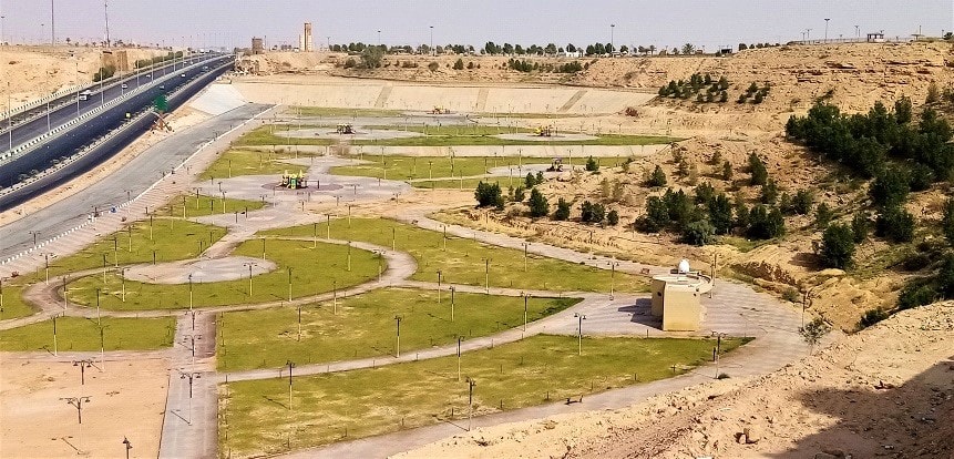 Spring migration in Saudi Arabia, part two - Vimarsana News