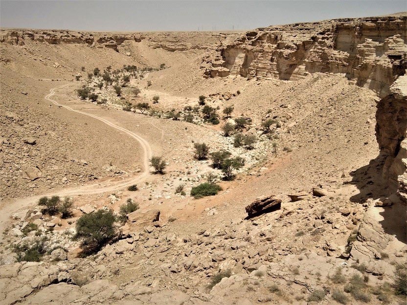 Spring migration in Saudi Arabia, part one - Vimarsana News
