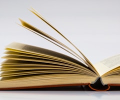 Books Birdguides