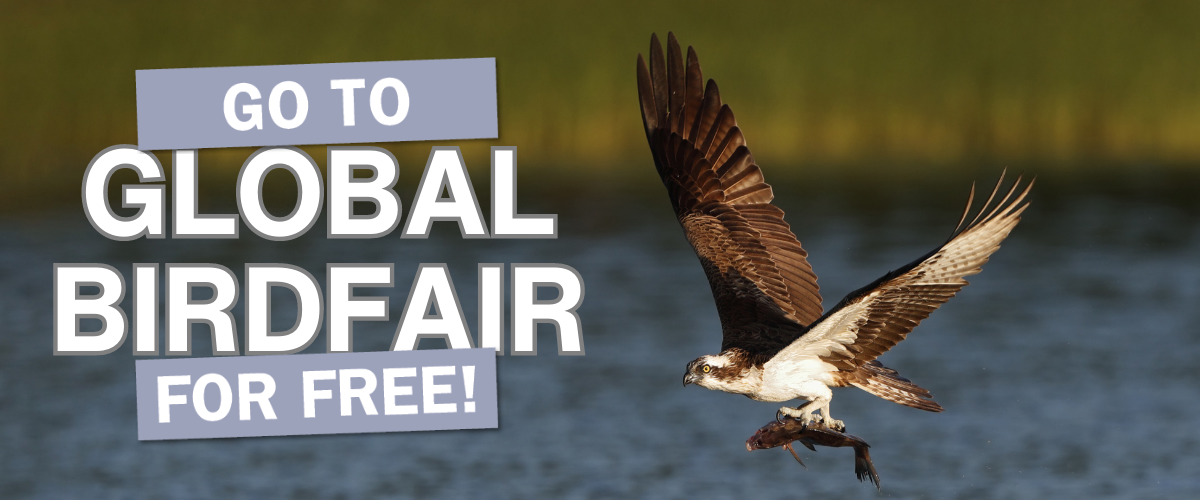 Go to Global Birdfair for free