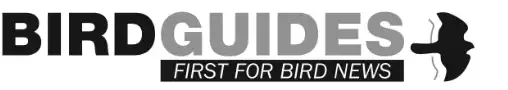 BirdGuides Logo