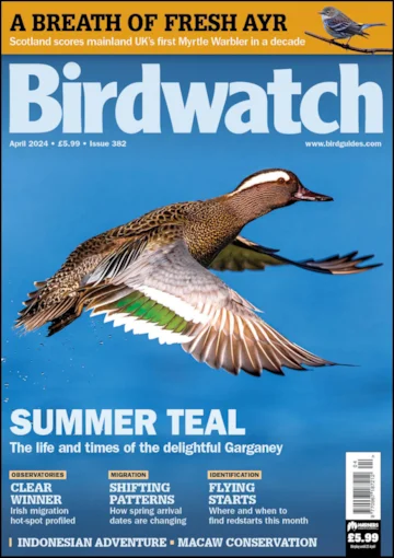 Birdwatch April 2024 front cover