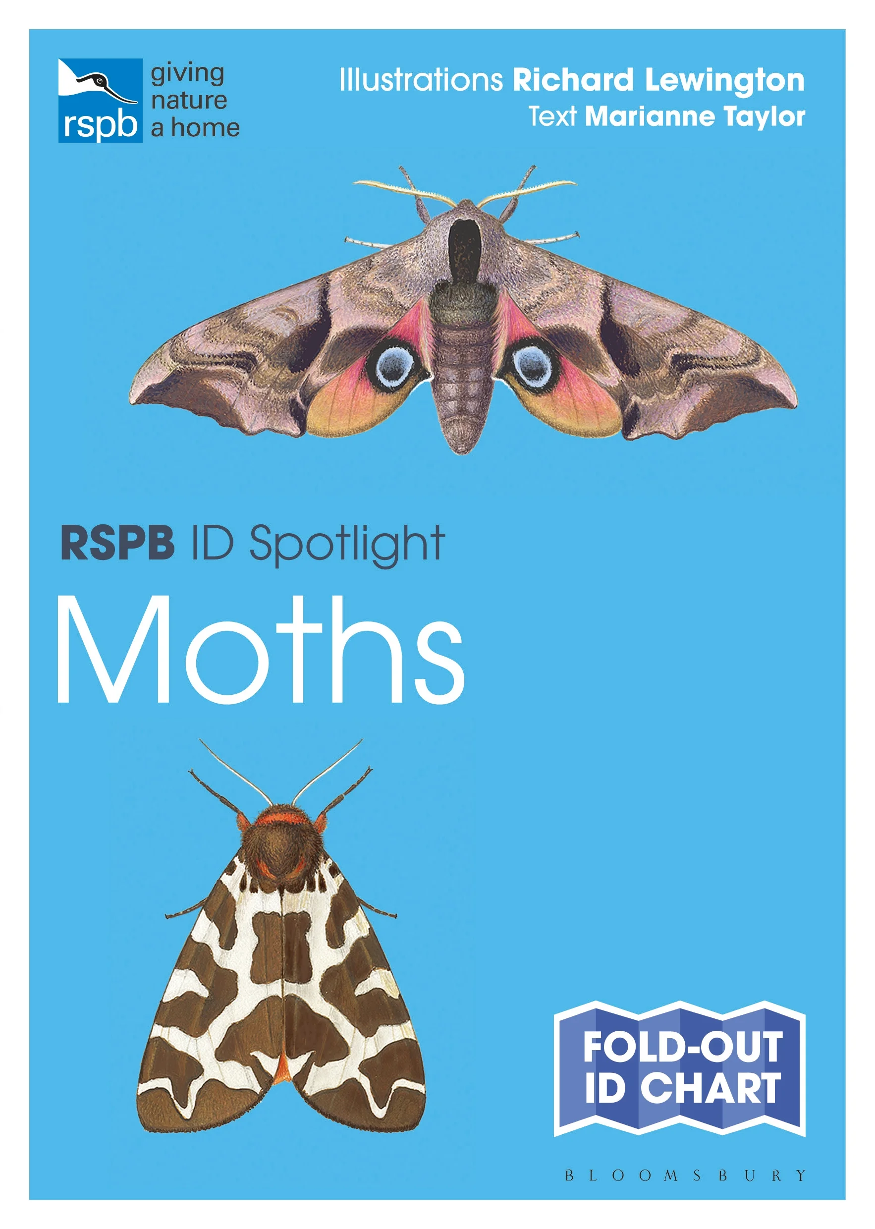 RSPB ID Spotlight - Moths - BirdGuides