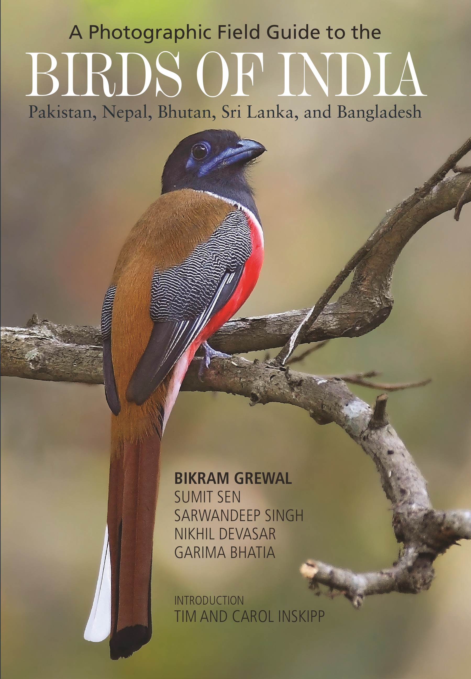 A Photographic Field Guide To The Birds Of India Pakistan