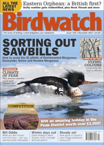 Birdwatch December 2017 Birdwatch December 2017
