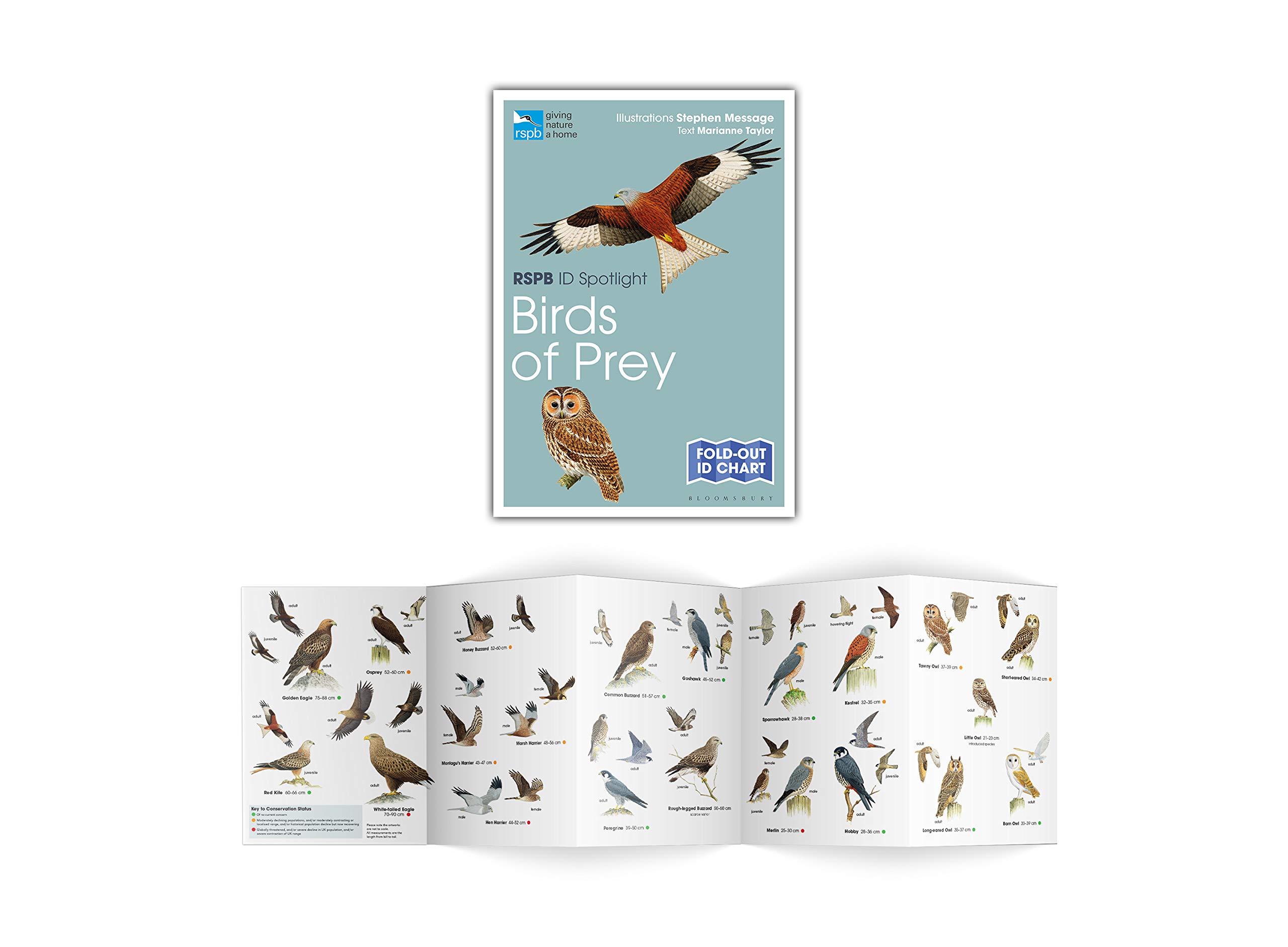 RSPB ID Spotlight - Birds of Prey - BirdGuides