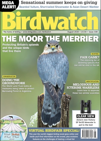 Birdwatch August Cover Birdwatch August Cover