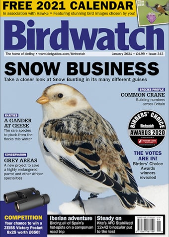 Birdwatch January 2021 Birdwatch January 2021