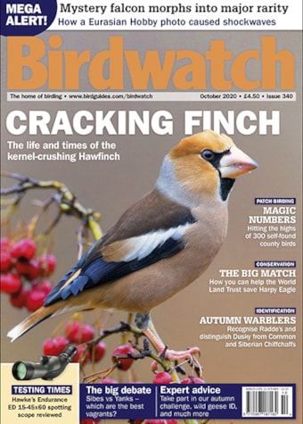Birdwatch October 2020 Birdwatch October 2020