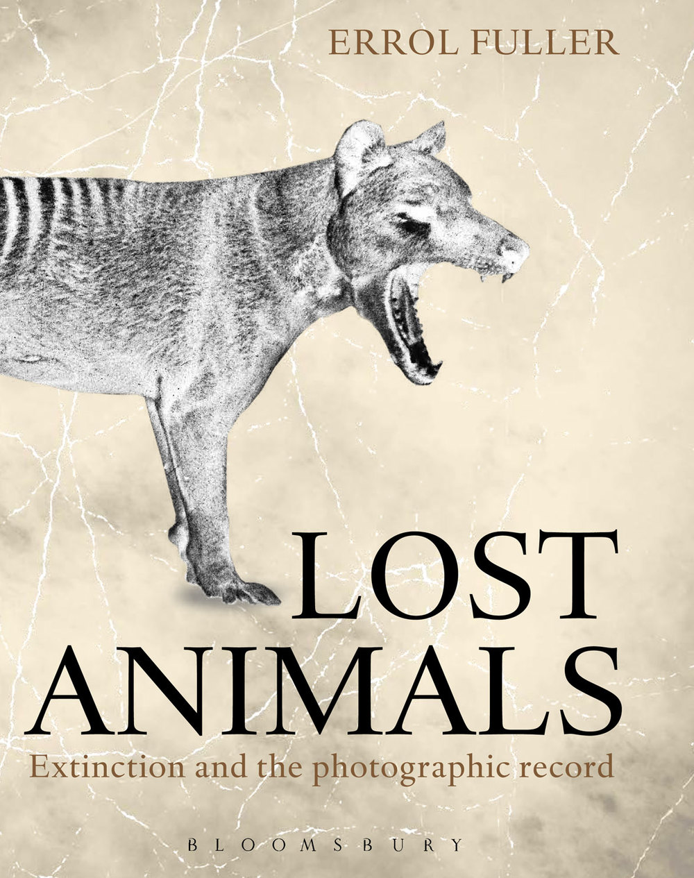 Interesting facts about animals for kids. Animals and their homes. Extinction of animals. Ecological problems topic. Animals are losing their.