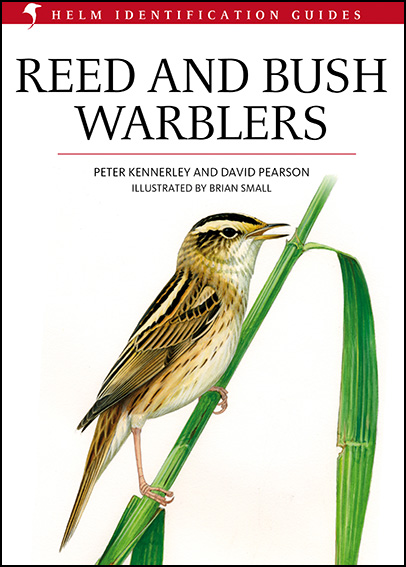 Reed and Bush Warblers 