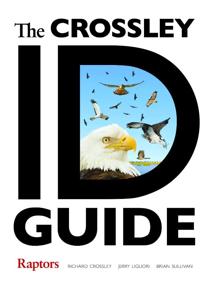 The Crossley ID Guide: Raptors - BirdGuides