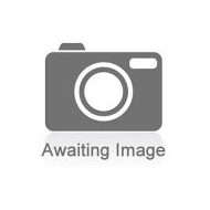 Details Barn Owl Birdguides