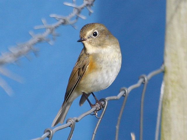 bluetail group bluetail group