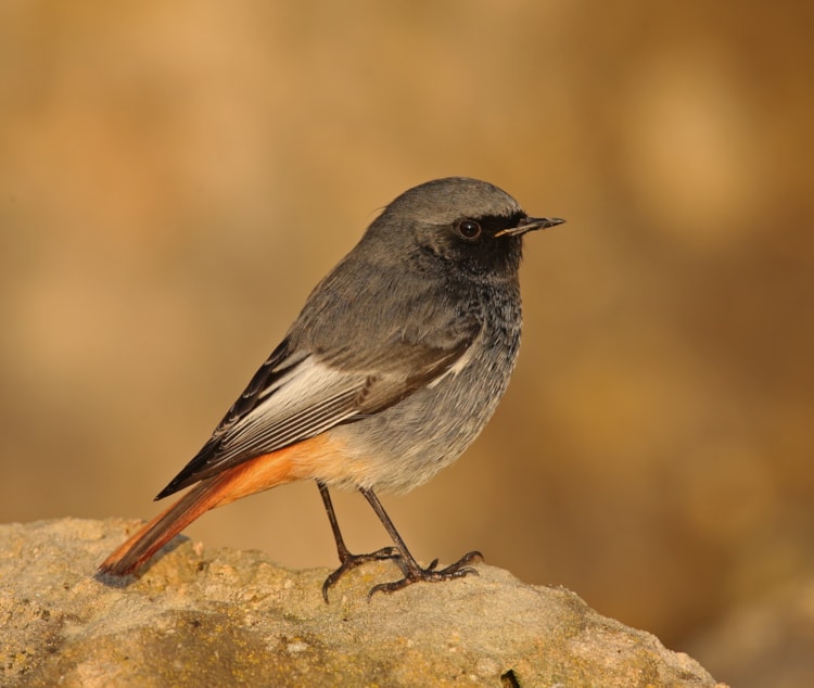 Ищем место под солнцем: в Барселоне Ищем место под солнцем: в Барселоне