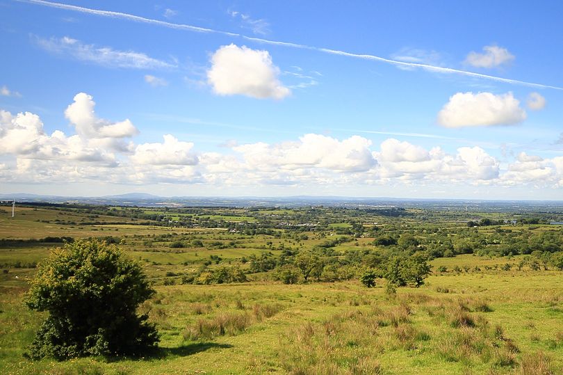 'Super-sized' nature reserve planned for hills above Belfast - Vimarsana News