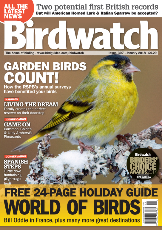 The January issue of Birdwatch is on sale today! BirdGuides