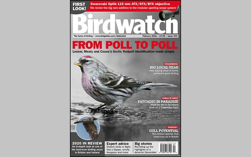 February's Birdwatch – out now! - Vimarsana News