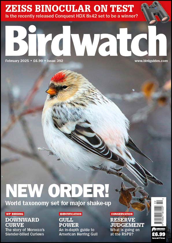 Inside the February 2025 issue of Birdwatch - BirdGuides