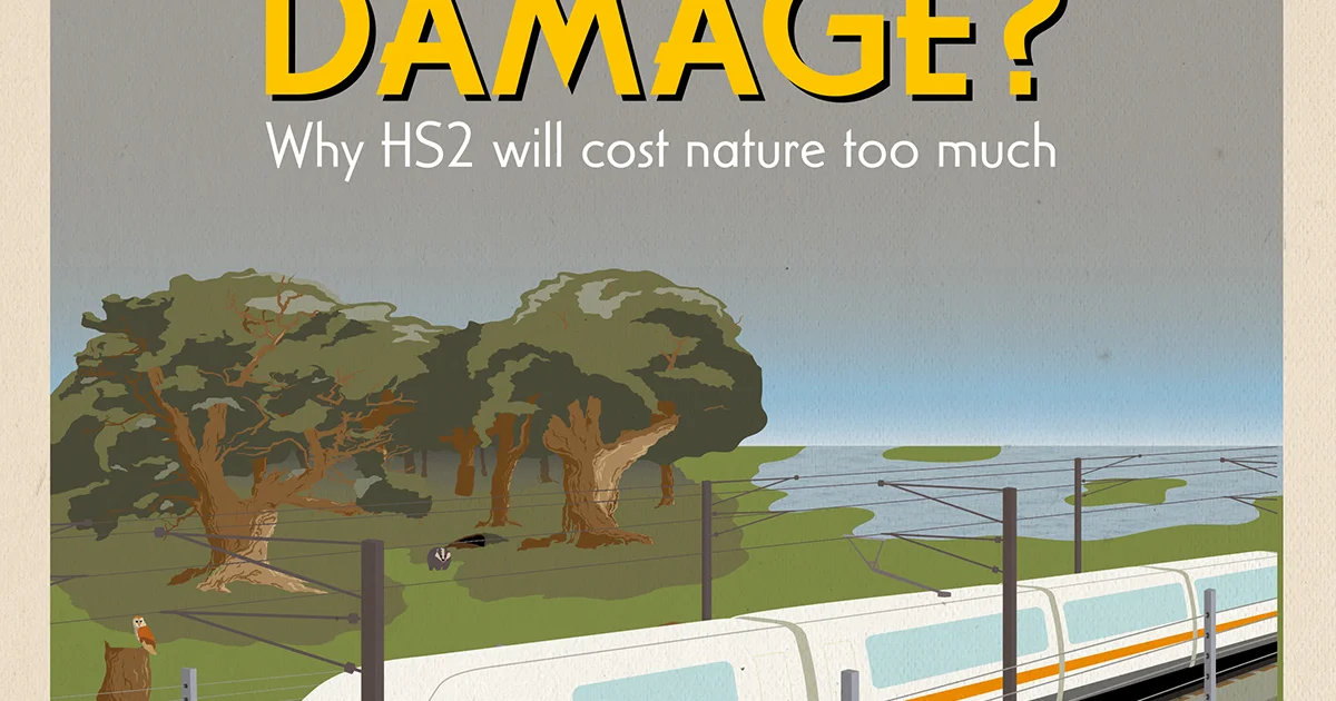 Hs2 Damage HS2 will cause huge damage to nature - BirdGuides