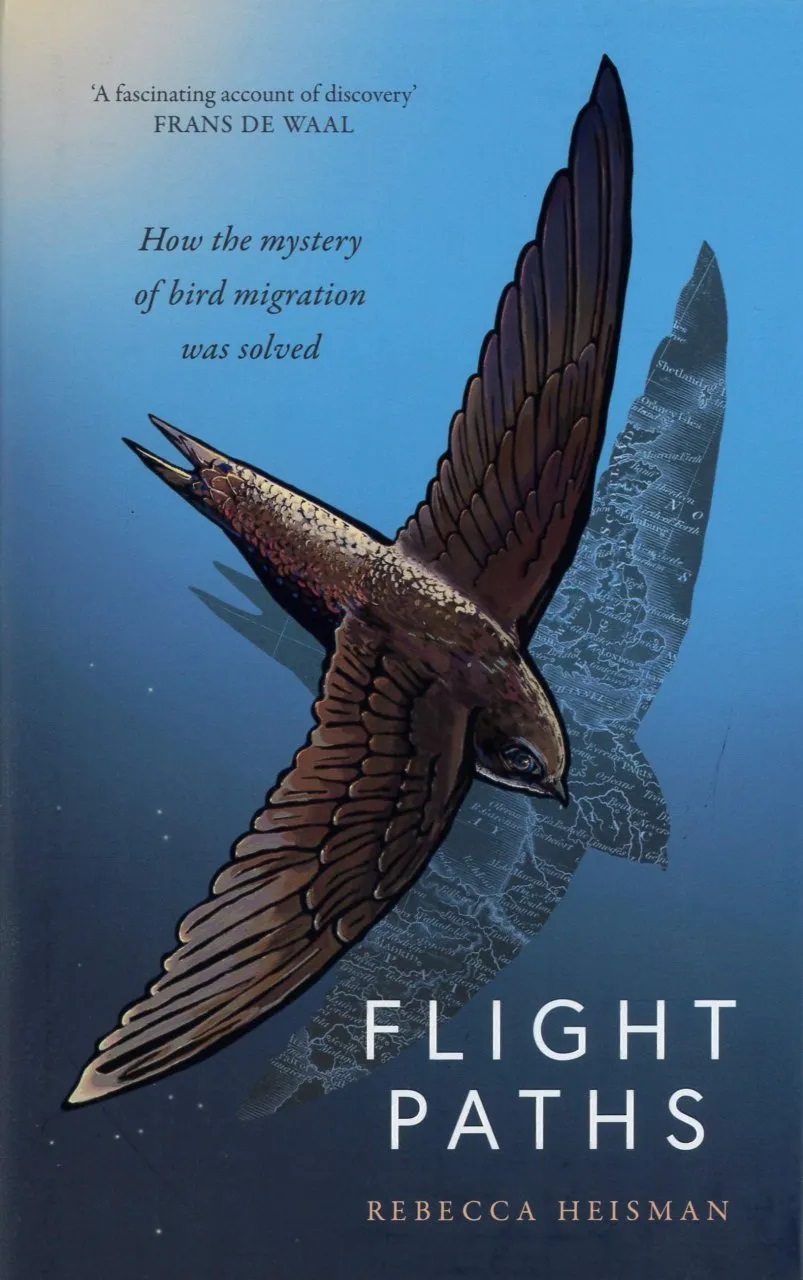 Flight Paths How the Mystery of Bird Migration Was Solved BirdGuides