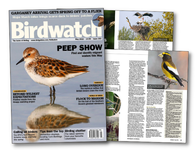 Read the May 2022 issue of Birdwatch - Vimarsana News