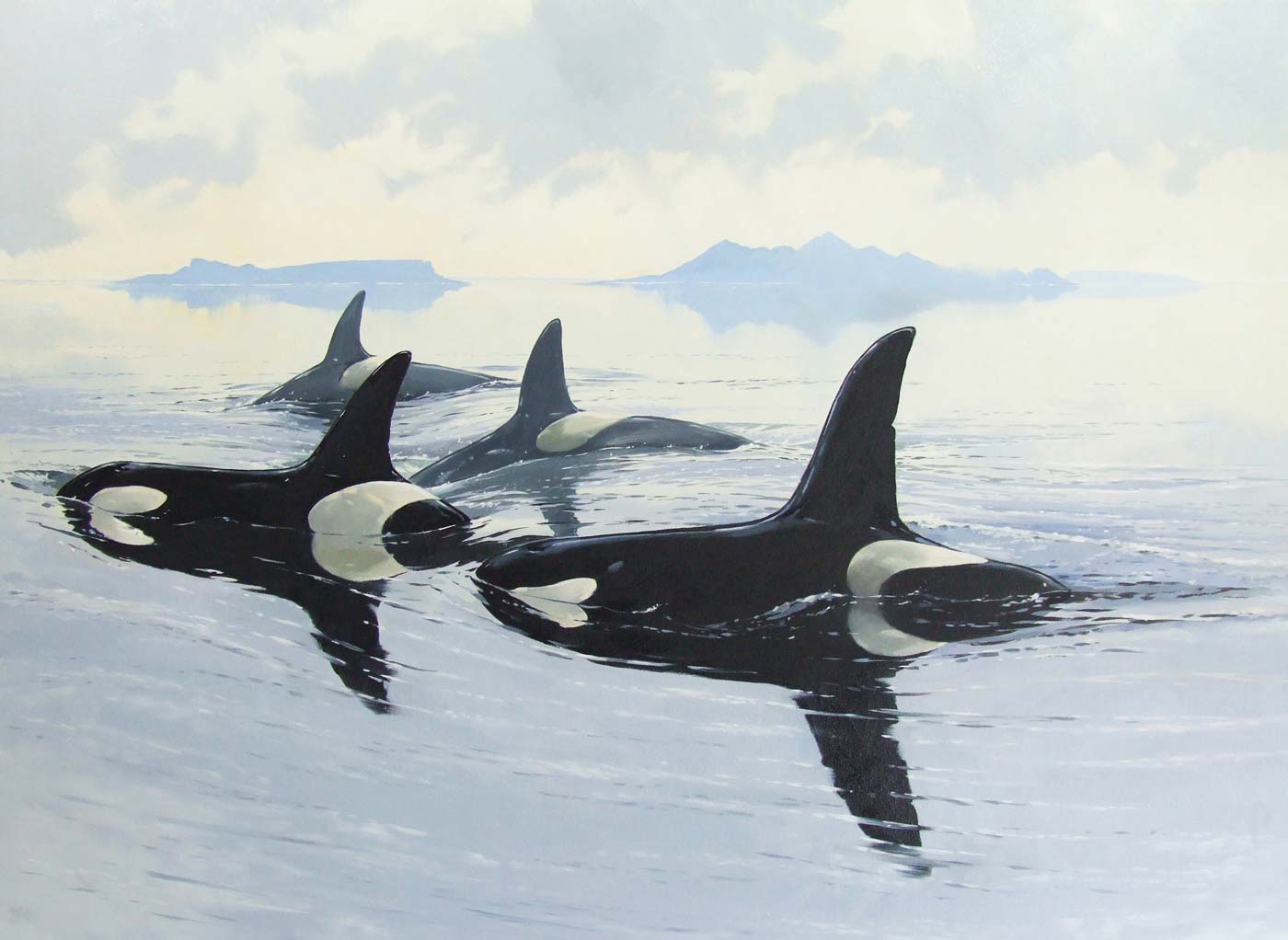 Spring art exhibition to be hosted by SOC - BirdGuides