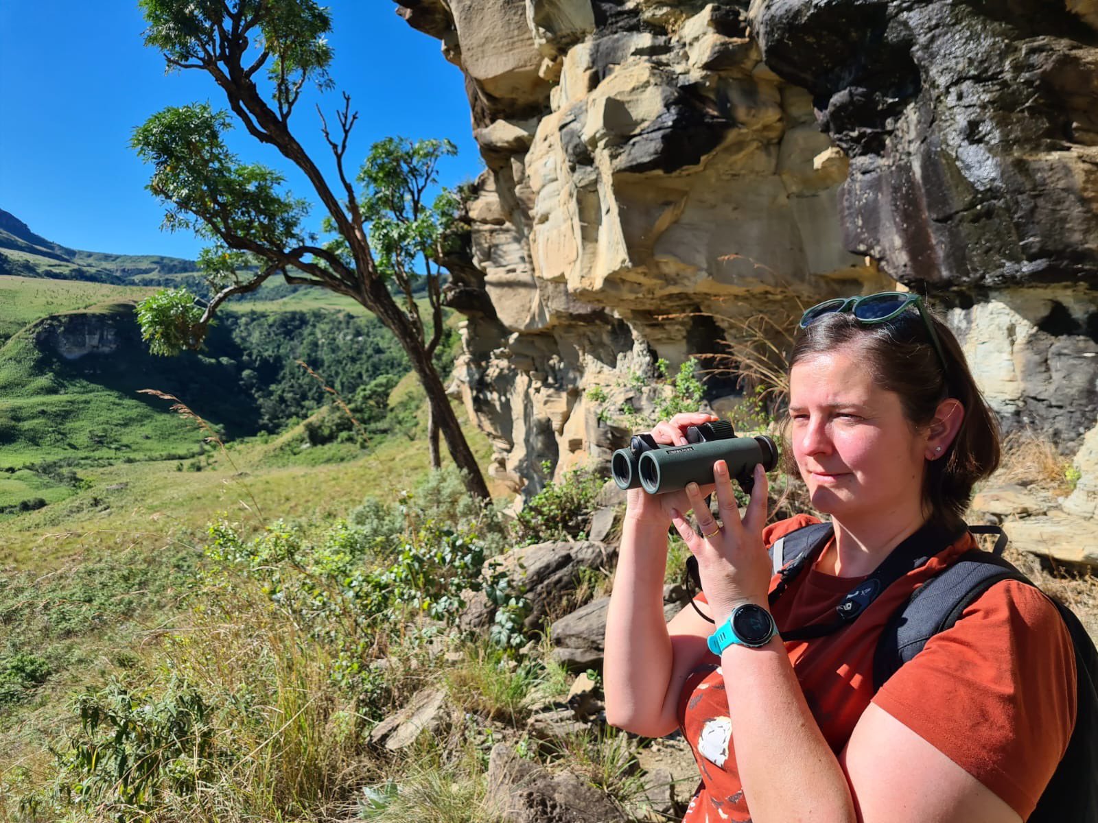 RBBP welcomes new member - BirdGuides