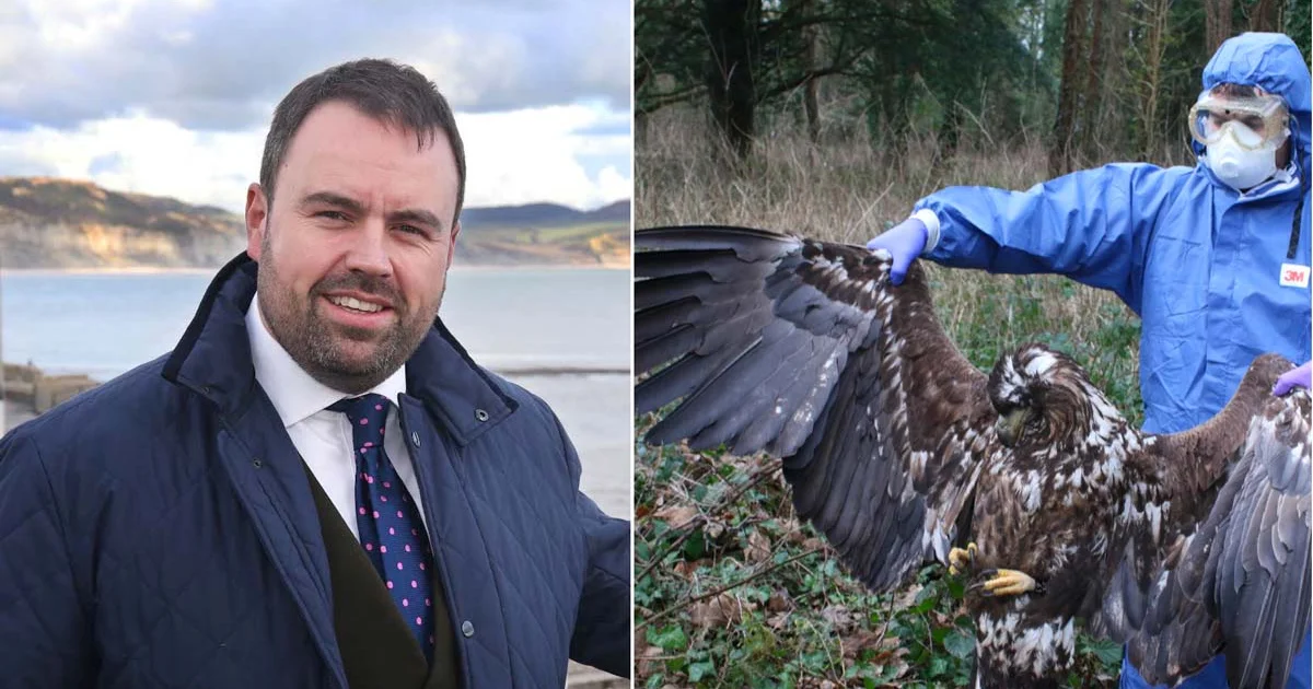 Dorset MP criticises police for investigating eagle deaths - BirdGuides