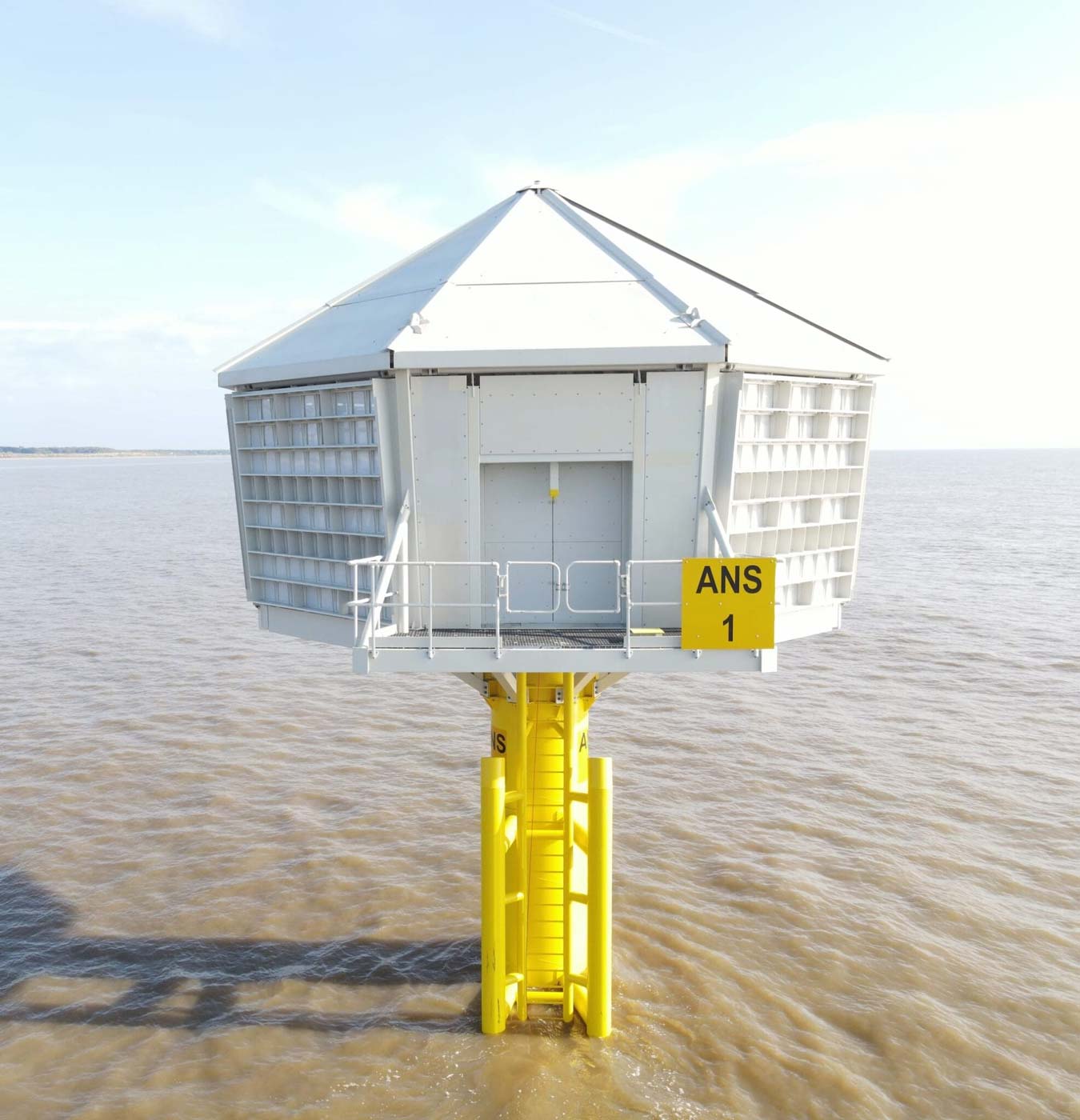 Picture of First Kittiwake hatches at artificial nesting platform - BirdGuides