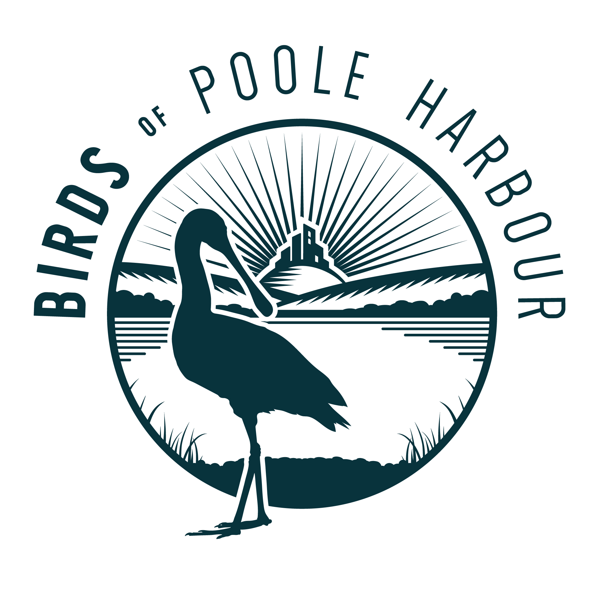Poole Harbour gets new visitor centre - BirdGuides