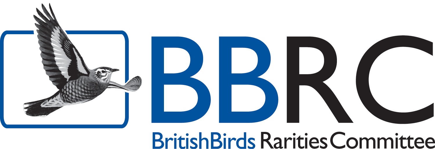BBRC on the look-out for a new member - BirdGuides