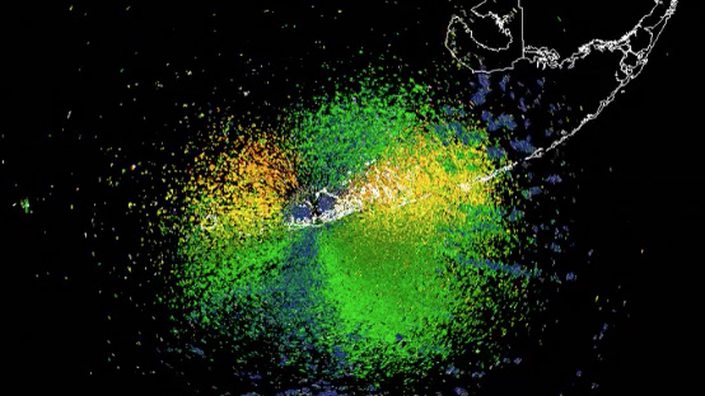 Massive bird migration shows up on Florida weather radar BirdGuides