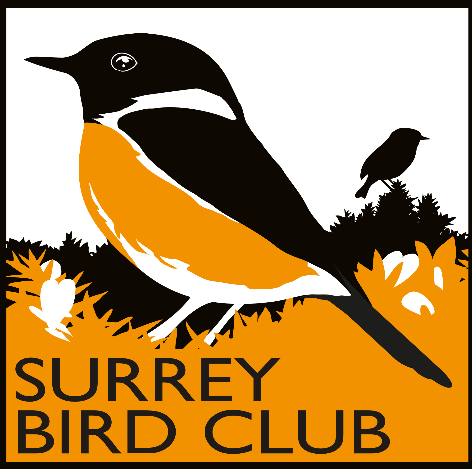 Surrey Bird Club offers free membership to young birders BirdGuides