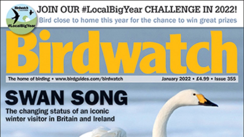 Birdwatch magazine: what's in the January 2022 issue - Vimarsana News
