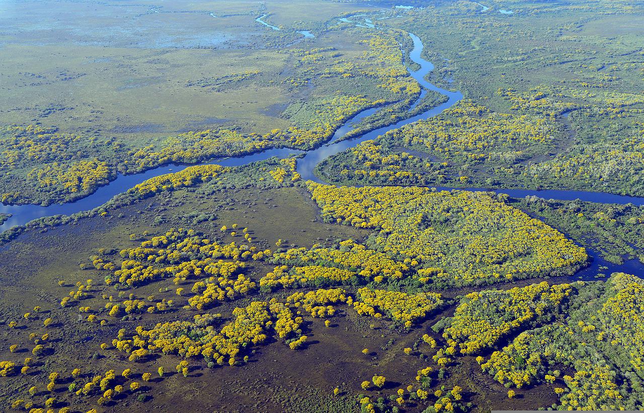Soybean industry proposals threaten vast tropical wetland - Vimarsana News