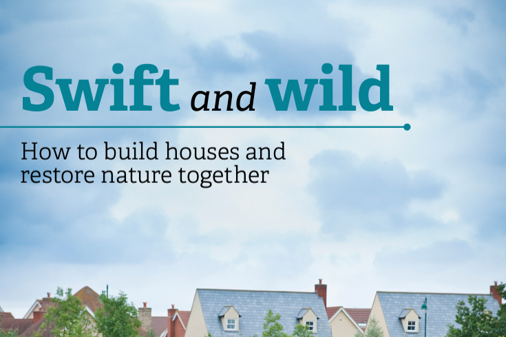 Housing developers must put nature first, says new report - BirdGuides