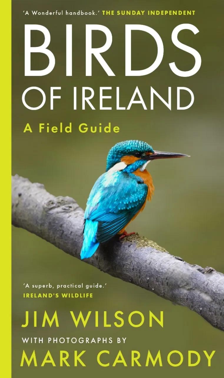 Birds of Ireland: A Field Guide - BirdGuides