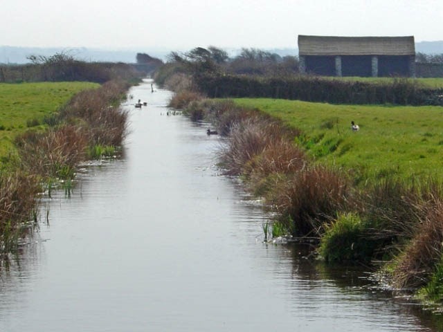 Typical view across Braunton Marsh, which is criss-crossed by drainage dykes and dotted with cattle linhays (shelters). It is made up of numerous separate marshes and grazed by individual owners' livestock and managed overall by The Braunton Marsh Co Typical view across Braunton Marsh, which is criss-crossed by drainage dykes and dotted with cattle linhays (shelters). It is made up of numerous separate marshes and grazed by individual owners' livestock and managed overall by The Braunton Marsh Co