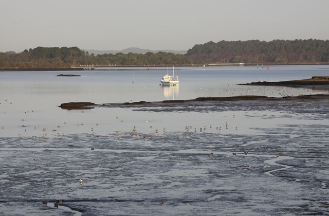 Image supplied by Simon Kidner Image supplied by Simon Kidner