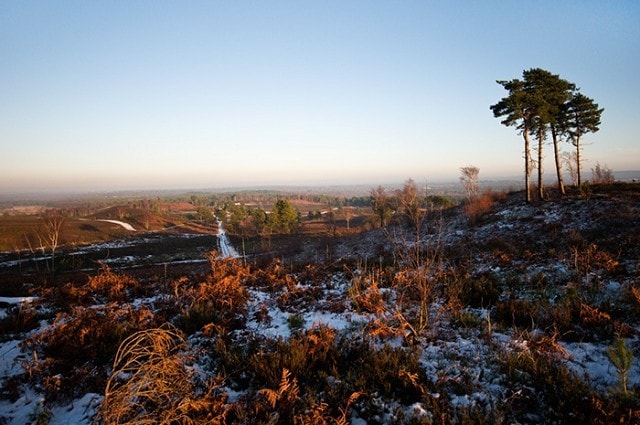 View from Crown Prince Hill, looking over Pirbright Common. Nikon D300 & Sigma 10-20mm @ 17mm. View from Crown Prince Hill, looking over Pirbright Common. Nikon D300 & Sigma 10-20mm @ 17mm.
