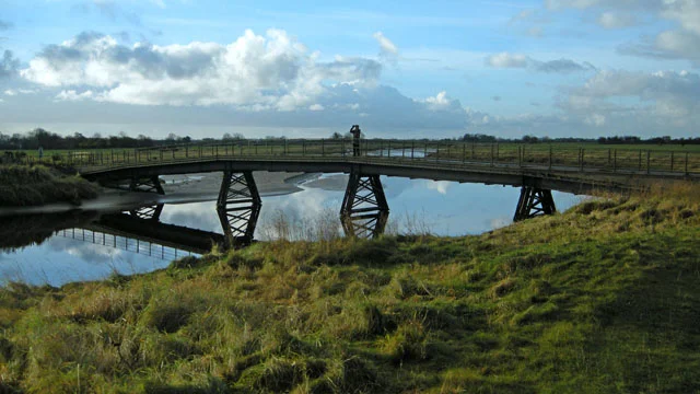 Birdwatcher on Whitrigg Bridge over the River Wampool. Birdwatcher on Whitrigg Bridge over the River Wampool.