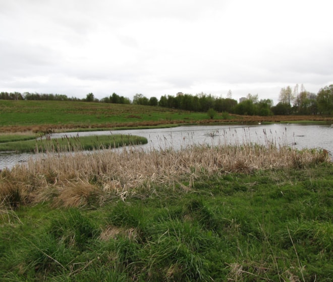 Pools at Robroyston Park LNR. Pools at Robroyston Park LNR.